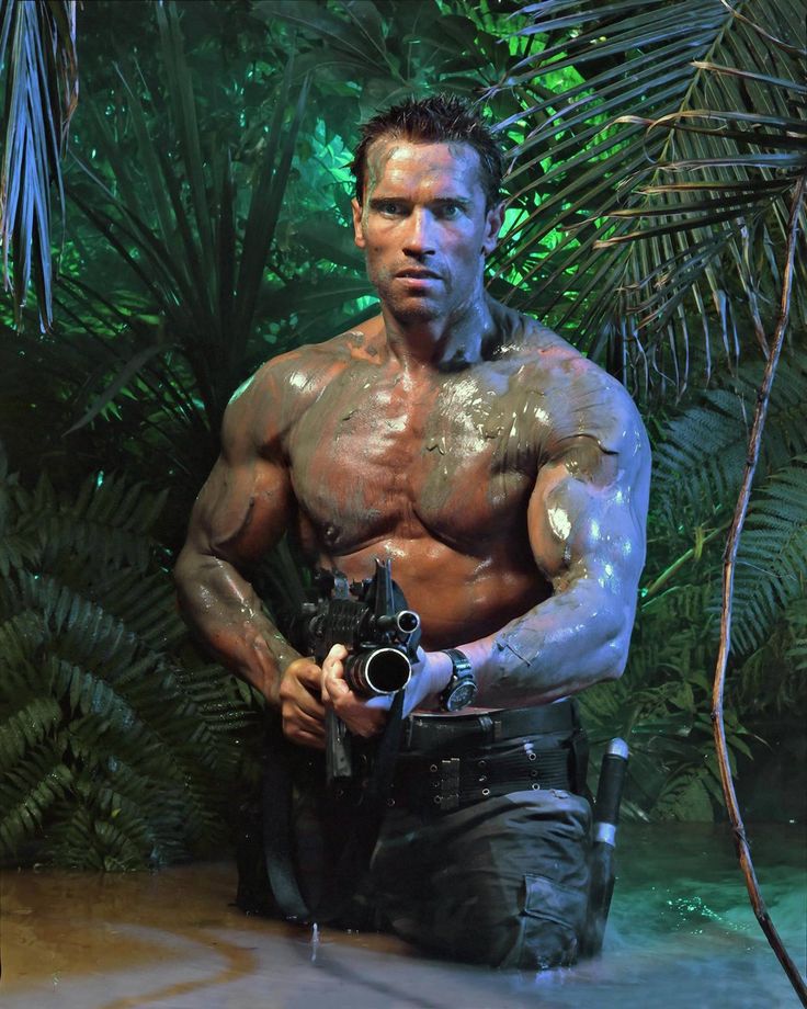 From Austria to Hollywood: The Multifaceted Legacy of Arnold Schwarzenegger